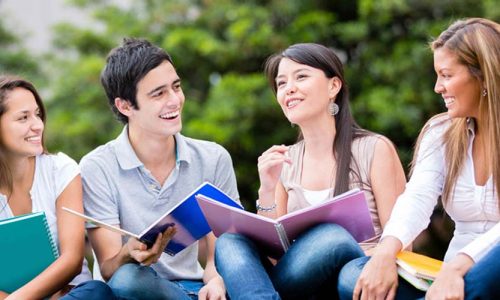 Sapien arcu convallis velit